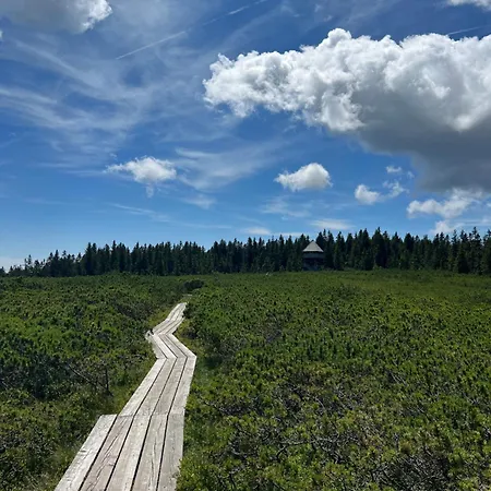 Klara Feriehus Resnik