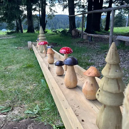 Hébergement de vacances Klara Resnik